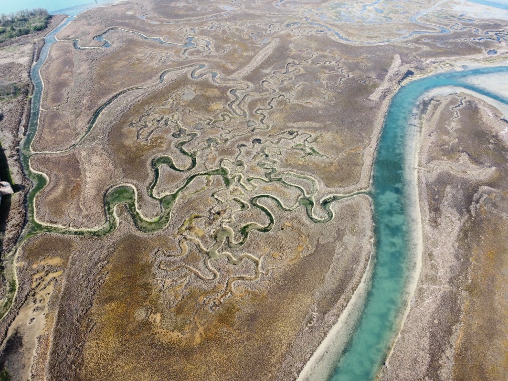 Laguna di Venezia 5