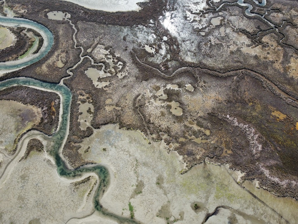 Laguna di Venezia 9