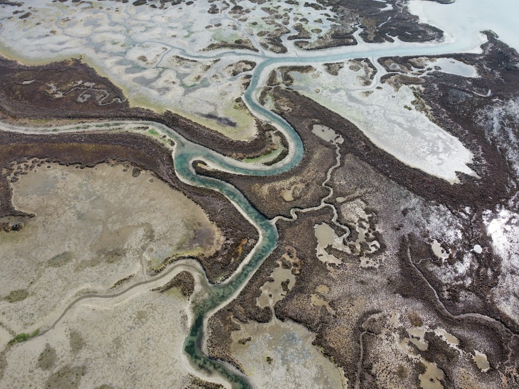 Laguna di Venezia 11