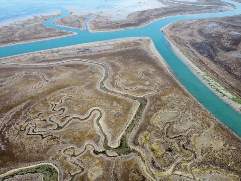 Laguna di Venezia 12