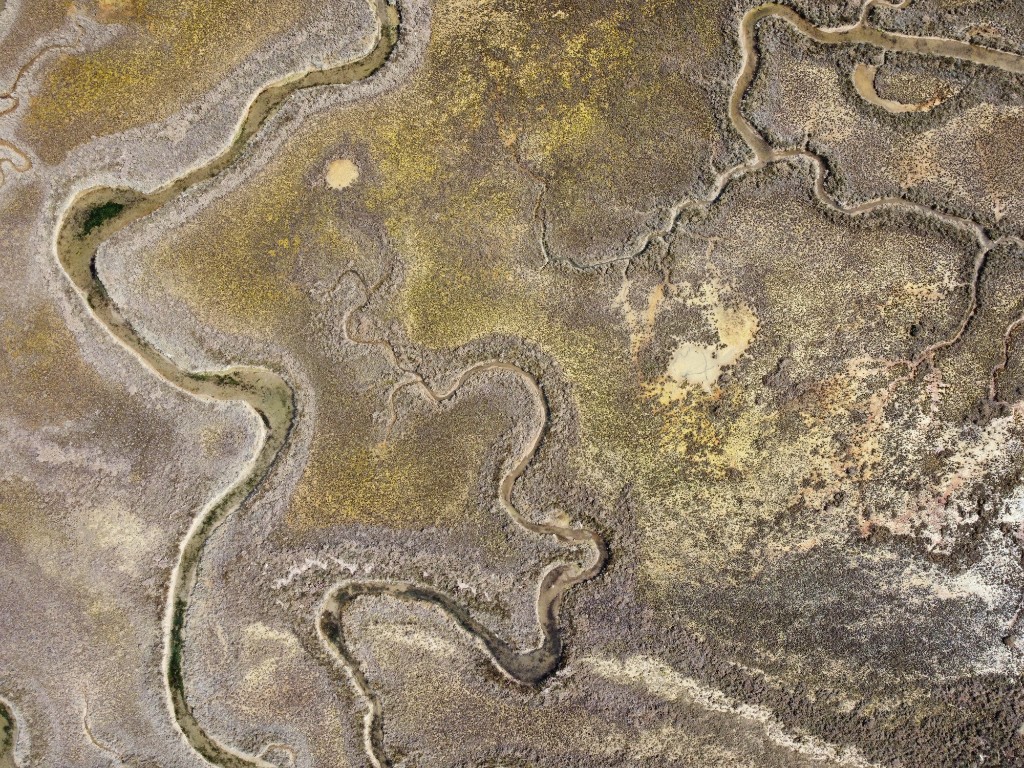 Laguna di Venezia 15