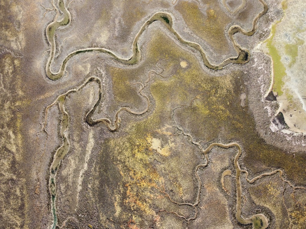 Laguna di Venezia 19